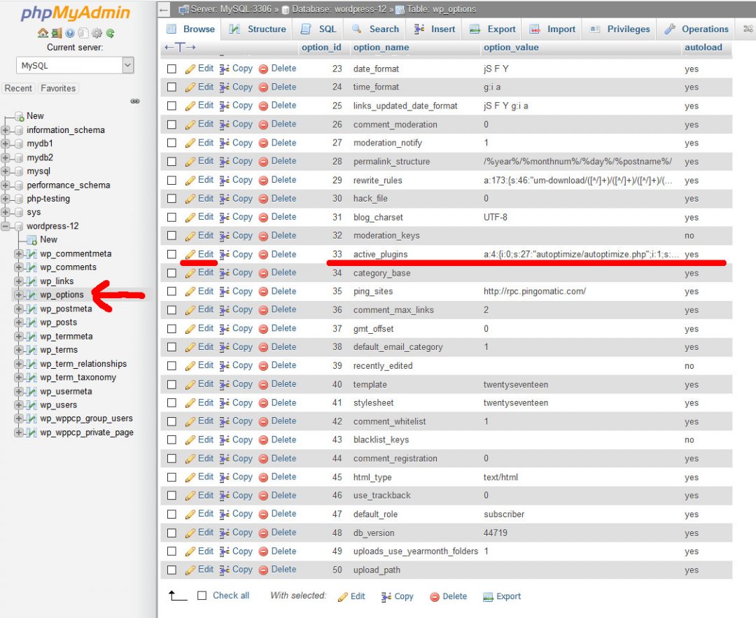 How to disable all WordPress plugins in the database via phpMyAdmin ...